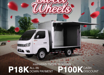 Harabas-TM300-Wingvan